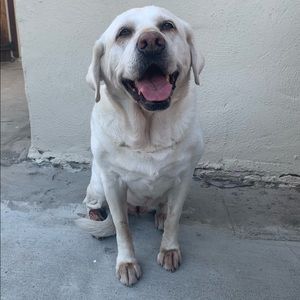 Meet your Posher, Sedona